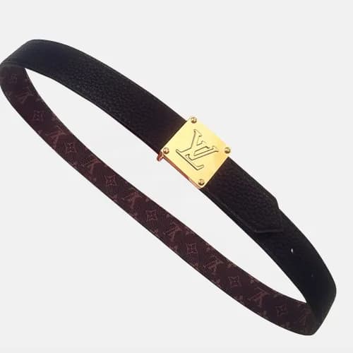 Louis vuitton 2019 Ladies Reversible Canvas & Leat… - 1