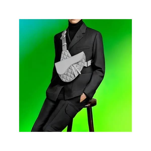 디올 남성 다이아몬드 그레이 새들백 - Mens Gray Saddle Bag - dio02… - 1