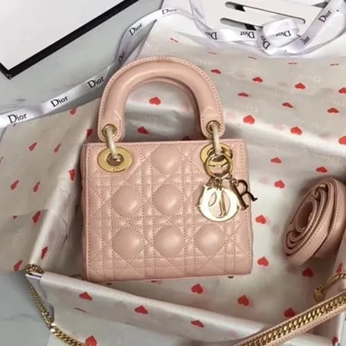Dior 2019 Lady Dior Tote Shoulder Bag,17CM - 디올 20… - 1