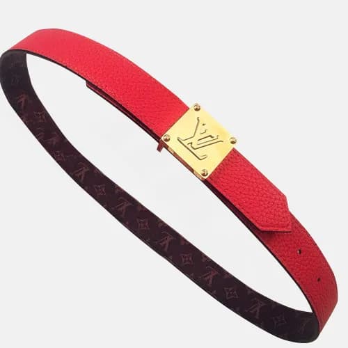 Louis vuitton 2019 Ladies Reversible Canvas & Leat… - 1