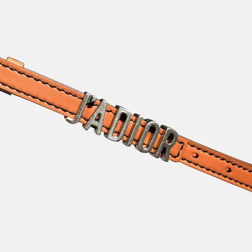 Christian Dior 2019 Jadior Ladies Leather Belt - 크… - 1