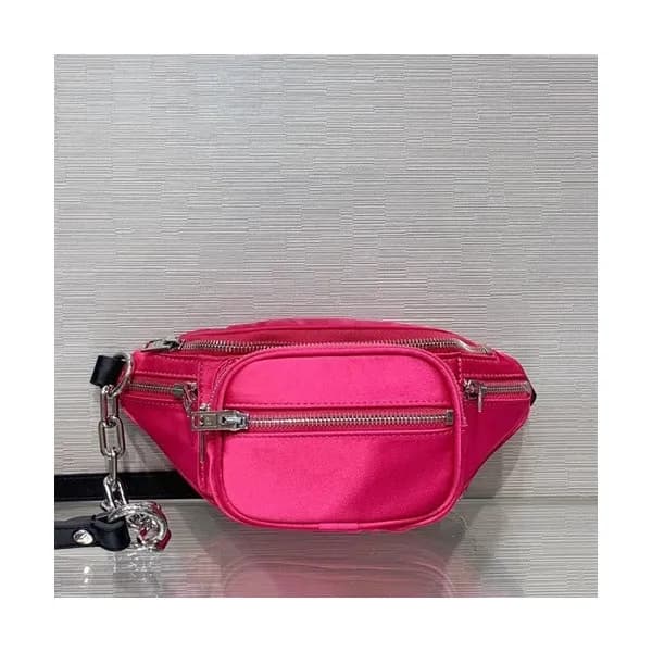 Alexander Wang 2019 Belt Bag,22cm - 알렉산더왕 2019 여성용… - 1