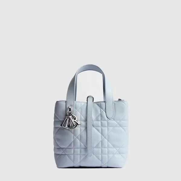 디올 여성 뚜주흐 스몰 버티컬 토트백 - Dior Womens Toujours Small … - 1