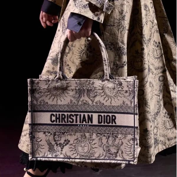디올 여성 베이지 북토트 - Dior Womens Beige Book Tote - dib1… - 1