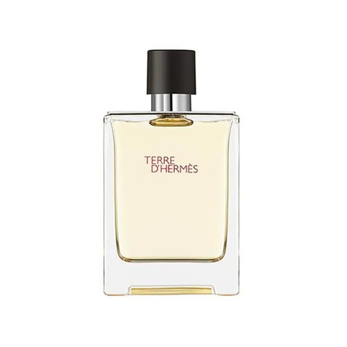 에르메스 떼르 데르메스 오 드 뚜왈렛 100ml - Hermès Terre dHermès Eau de Toilette - hep104x - 1