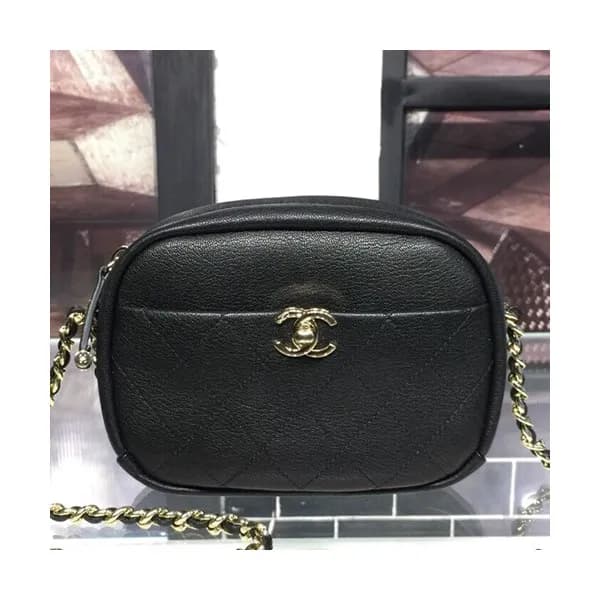 Chanel Chain Leather Camera Bag, 19CM - 샤넬 체인 레더 카… - 1