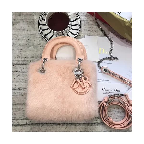 Dior 2019 Mini Lady Tote Shoulder Bag,17CM - 디올 20… - 1