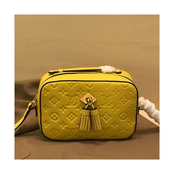 Louis Vuitton 2019 Saintonge Camera Shoulder Bag,2… - 1