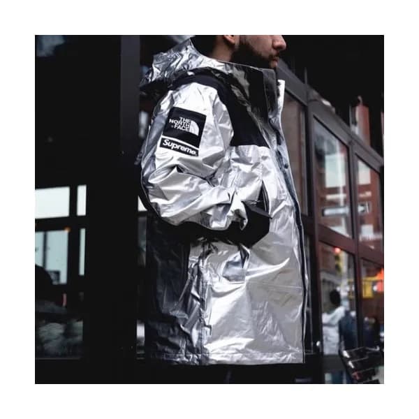 SUPREME&THE NORTH FACE 2018 MENS DOWN PADDING - 슈프…
