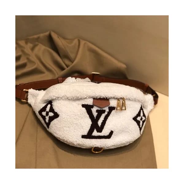 Louis Vuitton 2019 Teddy Bumbag Hip Sack,23cm - 루이… - 1