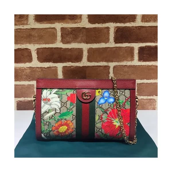 Gucci 2019 Ophidia Women Chain Shoulder Bag ,26CM … - 1