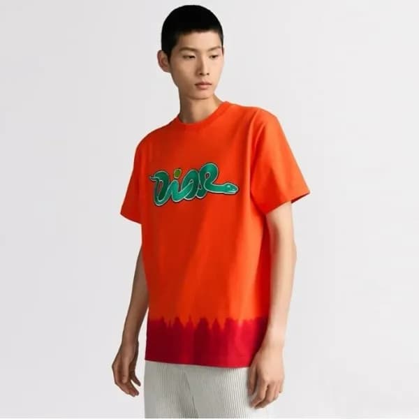 디올 남성 라운드 반팔 티셔츠 - Dior Mens Round Tshirt - dic475… - 1