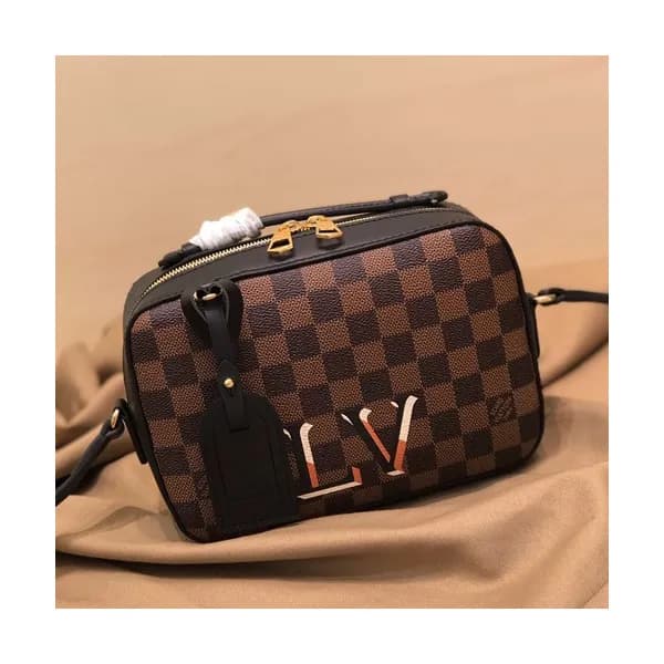 Louis Vuitton 2019 Saintonge Camera Shoulder Bag,2… - 1
