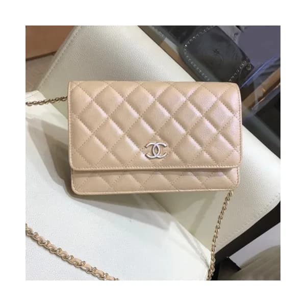 Chanel 2019 WOC Chain Cross Bag,19CM - 샤넬 2019 WOC… - 1