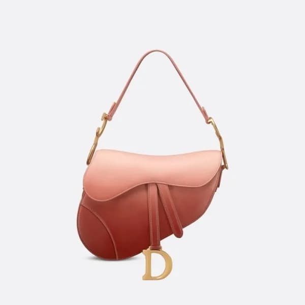 디올 여성 핑크 새들백 - Dior Womens Pink Saddle Bag - dib65… - 1