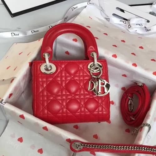Dior 2019 Lady Dior Tote Shoulder Bag,17CM - 디올 20… - 1