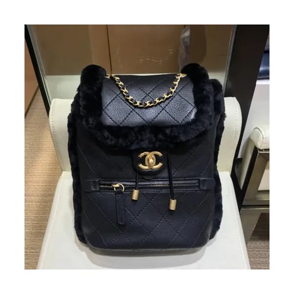 Chanel 2019 Leather & Fur Women Back Pack ,26CM - … - 1
