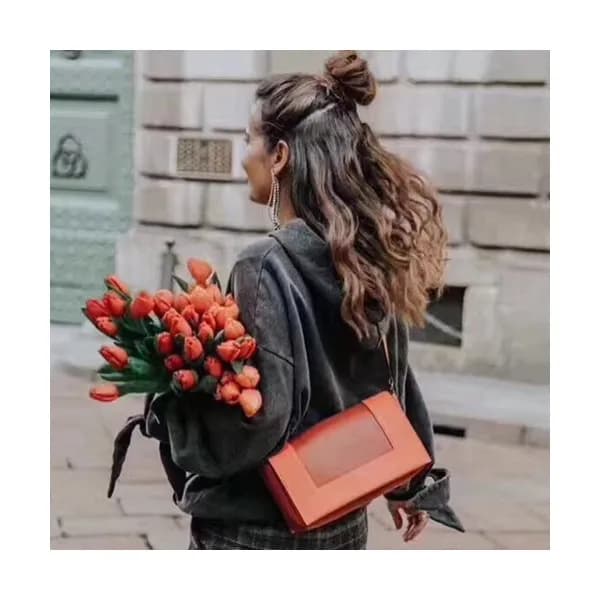 Celine Leather Frame Shoulder Bag,25CM - 셀린느 레더 프레… - 1