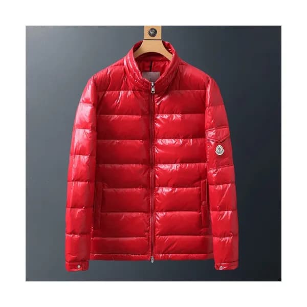 Moncler 2019 Mens Patch Logo Modern Down Padding -… - 1