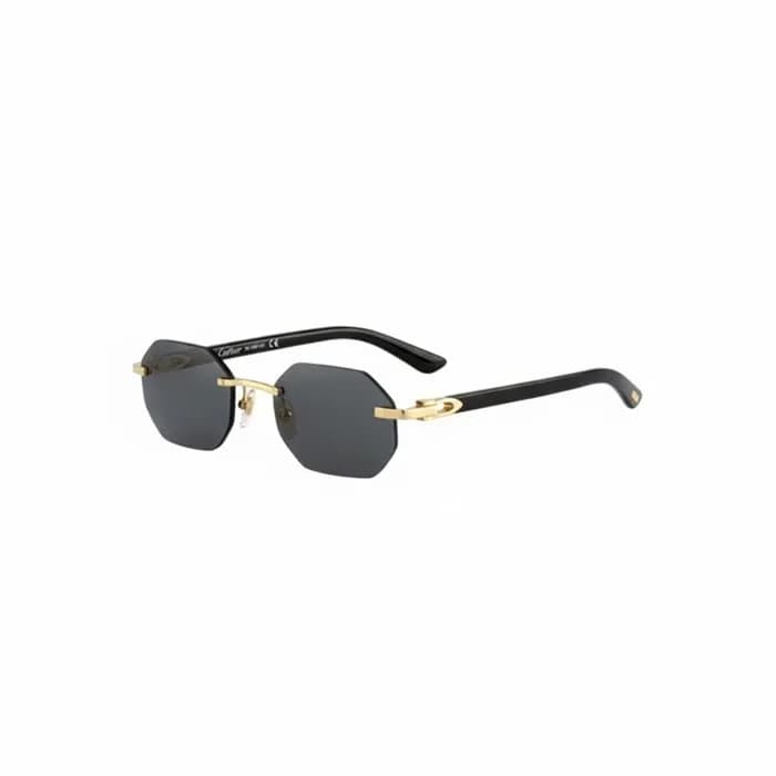 까르띠에 남성 프리미엄 메탈 프레임 선글라스 - Cartier Mens Premium Me… - 1