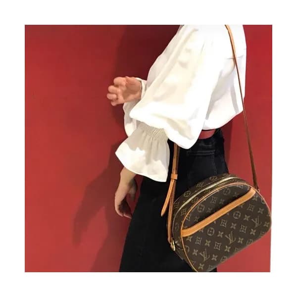 Louis Vuitton Monogram Blois Clossbody Shoulder Ba… - 1