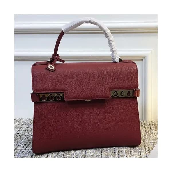 Delvaux 2019 Tempete Leather Tote Shoulder Bag,28C… - 1