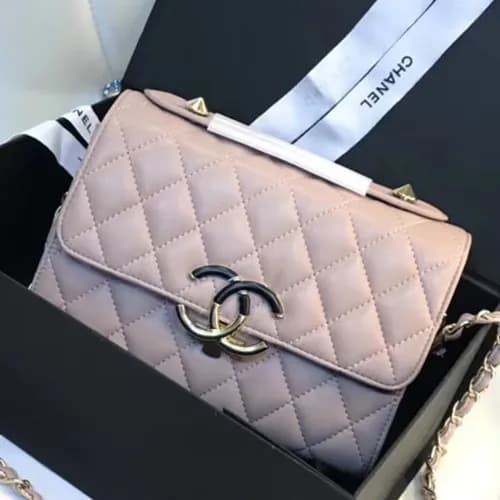 Chanel 2018 Cruise Chain Flap Shoulder Bag ,22CM -… - 1