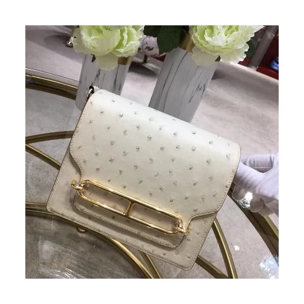 Hermes Roulis Ostrich Leather Shoulder Bag,19cm - … - 1