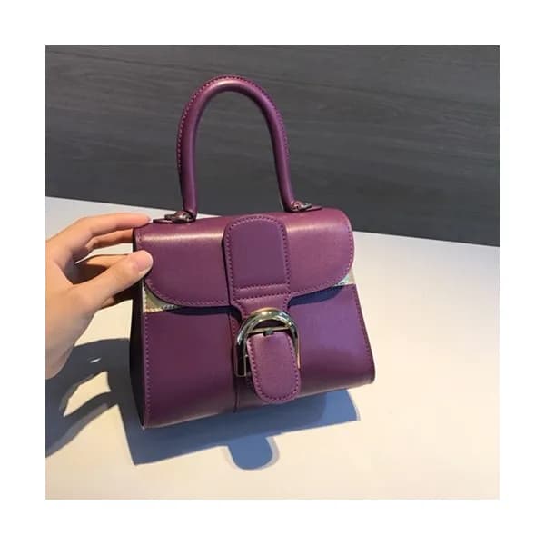 Delvaux 2019 Brillant Frence Box Leather Tote Shou… - 1