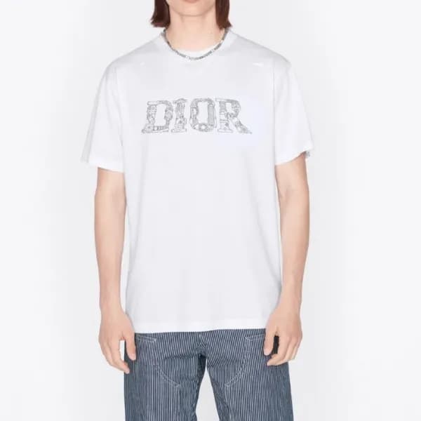 Dior Mens Casual Tshirts - 디올 남성 캐쥬얼 반팔티 - dio1663… - 1