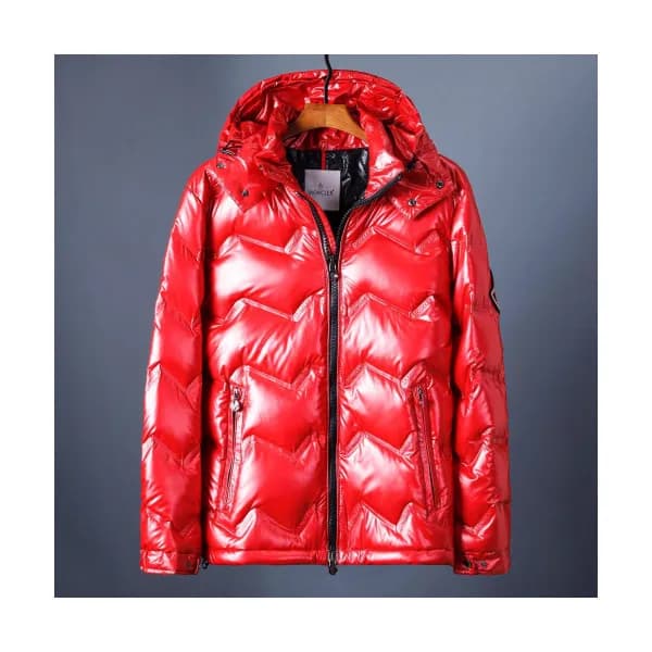 Moncler 2019 Mens Patch Logo Modern Down Padding -… - 1
