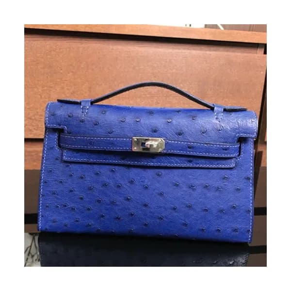 Hermes Mini Kelly Ostrich Leather Tote Bag / Clutc… - 1