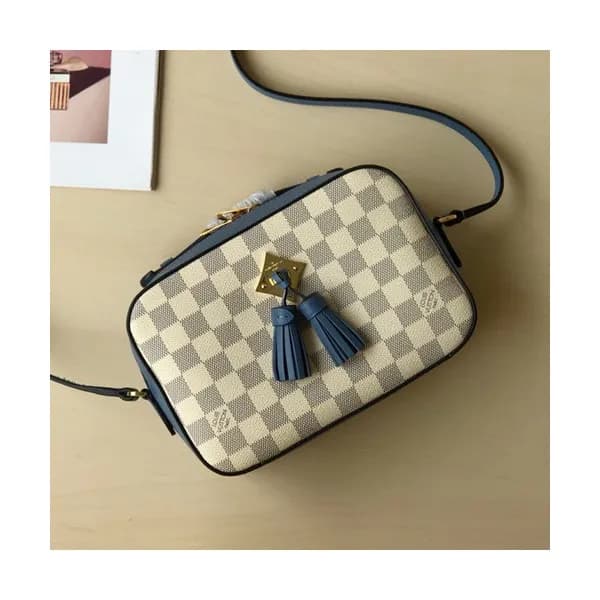 Louis Vuitton 2019 Saintonge Camera Shoulder Bag,2… - 1