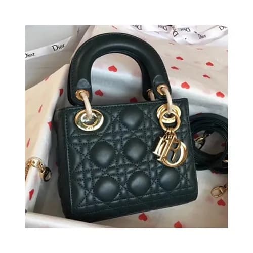 Dior 2019 Lady Dior Tote Shoulder Bag,17CM - 디올 20… - 1