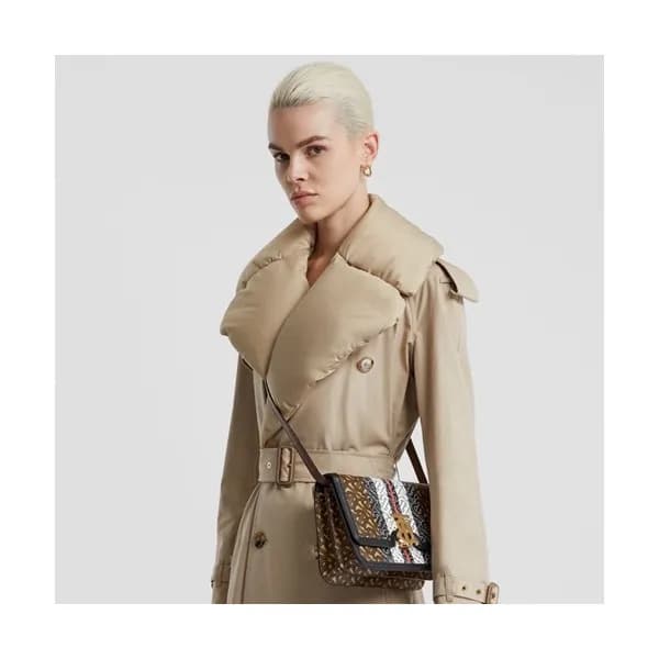 Burberry 2020 TB Shoulder Bag, 21cm - 버버리 2020 TB … - 1