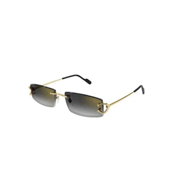 까르띠에 남성 프리미엄 메탈 프레임 선글라스 - Cartier Mens Premium Me… - 1