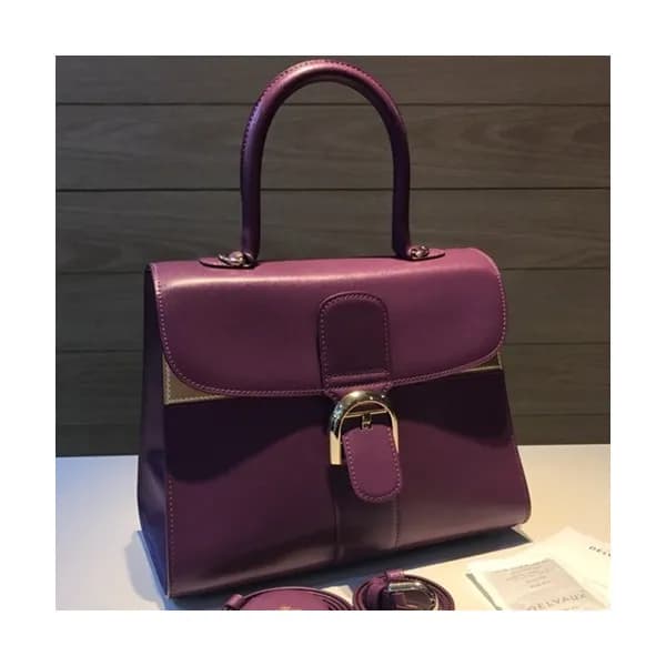 Delvaux 2019 Brillant Frence Box Leather Tote Shou… - 1