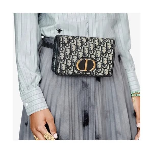 Dior 2020 CD Buckle Hip Sack / Shoulder Bag,19CM -… - 1
