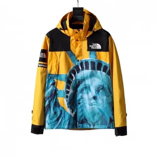 The North Face 2020 Mens Mountain Casual Duck Down… - 1