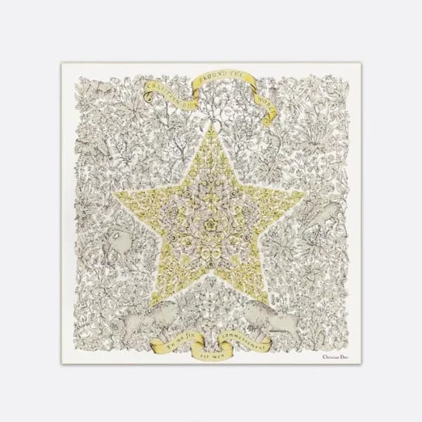 디올 여성 스타 스카프 - Dior Womens Star Scarf - acc3765x - 1