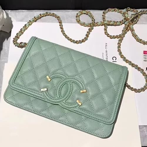 Chanel 2018 WOC Leather Chain Cross Bag ,19.5CM - … - 1