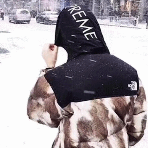 [매장판]The North Face 2019 Mm/Wm Down Padding Parka-… - 1