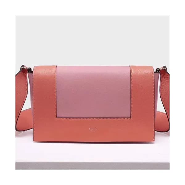 Celine Leather Frame Shoulder Bag,25CM - 셀린느 레더 프레… - 1