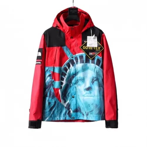 The North Face 2020 Mens Mountain Casual Duck Down… - 1