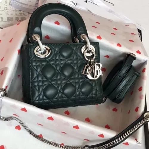 Dior 2019 Lady Dior Tote Shoulder Bag,17CM - 디올 20… - 1