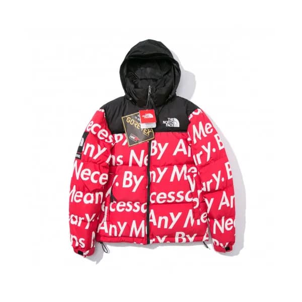 [매장판]The North Face 2019 Mm/Wm Down Padding Parka-… - 1