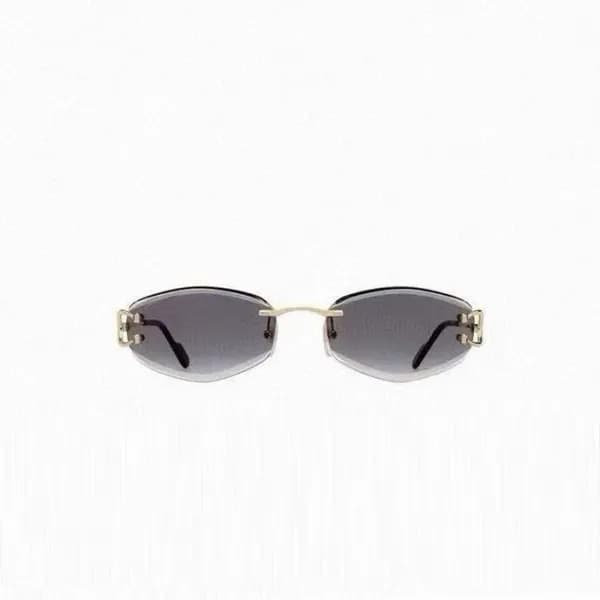 까르띠에 여성 프리미엄 메탈 프레임 선글라스 - Cartier Womens Premium … - 1