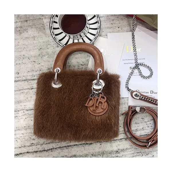 Dior 2019 Mini Lady Tote Shoulder Bag,17CM - 디올 20… - 1
