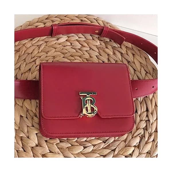Burberry 2019 Ladies TB Leather Hip Sack , 17cm - … - 1