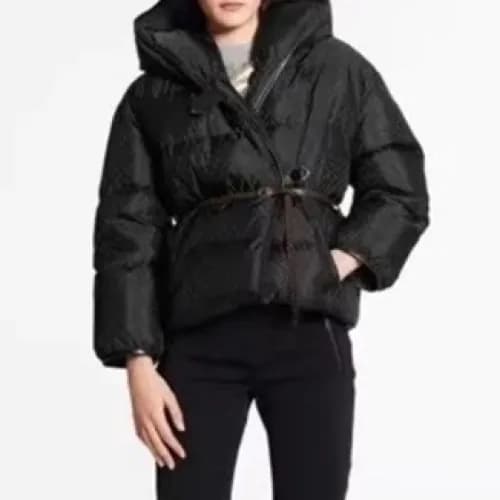 Louis vuitton 2020 Womens Logo Goose Down Padding … - 1